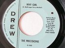 THE PRECISIONS-WHY GIRL / WHAT I WANT ON DREW NORTHERN 45-STRONG VG+, HEAR