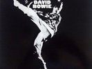 DAVID BOWIE VINYL LP - THE MAN WHO SOLD THE WORLD
