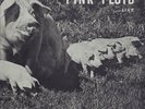 Pink Floyd ?– Live - The Best Of Tour '72 (LP 33 tours BOOTLEG)