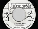 JA Press Rocksteady 45 : THE FUGITIVES - Cantelope Rock / The Lecture  HEAR