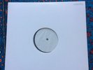 White Label Animal Collective Post Merryweather Pavilion Vinyl 12”