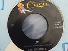 THE TWILIGHTS 007 CUCA Surf Instro Garage LISTEN