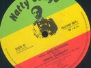 ERROL DUNKLEY - HELL AND SORROW (NATTY CONGO 12')