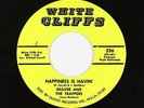 Garage 45 - Beaver & The Trappers - Happiness Is Havin' - White Cliffs - VG+ mp3