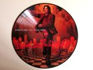 Michael Jackson Blood On The Dancefloor/HIStory in the mix  picture disc vinyl