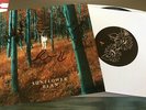 SUNFLOWER BEAN 7