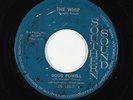 Doo-Wop Rocker 45 - Doug Powell - The Whip - Southern Sound - mp3