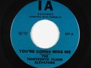 Garage Psych 45 - Thirteenth Floor Elevators - You're Gonna Miss Me - IA - VG++