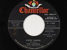 Surf 45 - Avantis - Gypsy Surfer/Wax 'Em Down - Chancellor - VG+ mp3