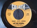 Surf Bunnies, Goliath 1353, Surf City High & Met The Boy I Adore, Surfer Girls