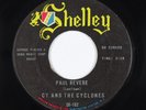 Rock & Roll Exotica Inst. 45 - Cy & The Cyclones - Paul Revere - Shelley - mp3