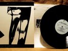INDIE ROCK LP: MARY'S DANISH, THERE GOES THE WONDERSTRUCK... Chameleon D1-74803