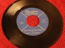 ROCK GARAGE LARRY & LOAFERS Let's Go To The Beach SHURFINE 017 VG+