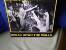 Youth of Today - Break Down The Walls LP Rare Cover EX