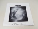 Tiamat ?– A Winter Shadow -7'--black metal