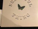 The Stone Roses  Beautiful Thing  12