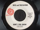 Rico & The Ravens, Autumn 6, Don't You Know & In My Heart, GREAT