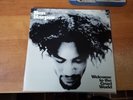 Ben Harper: Welcome To The Cruel World, 13 Track LP w/ 7 in Record