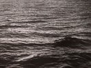 REICH, Steve - Four Organs/Phase Patterns (remastered) - Vinyl (LP)