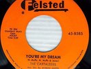 CASTALEERS vg++ original FELSTED doowop 45 YOU'RE MY DREAM / I'LL BE AROUND PC16