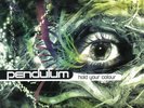 Pendulum Hold Your Colour Vinyl LP Neu 2018