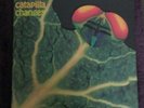 CATAPILLA 'Changes' LP die-cut cover