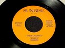 SUNRISE Them Changes RARE FLORIDA PRIVATE PRESS 70s FUNK SOUL 45 Hear