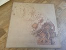 Family LP Anyway UK Reprise 1st Press EX+/NEAR MINT BEAUTIFUL   