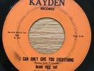 BRAM RIGG SET - I Can Only Give You Everything - RARE Garage Fuzz 45 on KAYDEN 