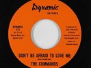 Northern Soul 45 - Commands - Don't Be Afraid To Love Me - Dynamic - VG++ mp3