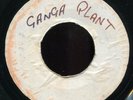 Prince Buster - Ganja Plant / Creation JA PRE 7