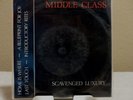 MIDDLE CLASS SCAVENGED LUXURY VINTAGE VINYL 7