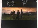 Bee Gees - ESP - Autographed Copy Signed By Barry Robin Maurice Gibb Vinyl LP