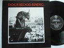 CURRENT 93 Dogs Blood Rising NM LAYLAH Industrial Experimental '88 LP Belgium