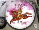 Budgie - Guts  12