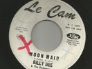 SPACE ROCK NOVELTY bw INSTRO-  BILLY DEE-  MOON MAID  -HEAR- 1964 PROMO LE CAM