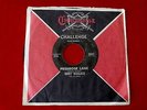 JERRY WALLACE PRIMROSE LANE   PRESSING  BY YOUR SIDE  RARE   COUNTRY 45