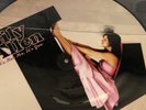 Lily Allen ?It's Not Me It's You Picture Disc Vinyl LP 2009