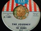 Wisconsin Garage Punk 45 The Skunks Elvira / The Journey U.S.A. HEAR