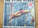 THE STONE ROSES WHAT THE WORLD IS WAITING FOR 12