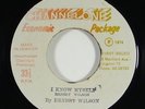 Ernest Wilson 
