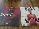 DMX - Dark and Hell is Hot & Flesh of My Flesh, Blood of my Blood