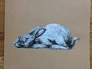 ROA time to exit year rabbit  no banksy  lp vinyl record  roa warhol haring