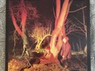 ECHO AND THE BUNNYMEN CROCODILES LP VINYL 1980 U.K. KAROVA KODE 1/K 58175 EX/EX