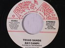 RAY CAMPI: Texas Sands / How Low Can You Feel 45 Rockabilly