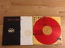 BAD RELIGION The Process Of Belief LP -- RED VINYL -- 1/3000 - only in Box Set