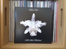 Kings of Leon 10 inch clear vinyl - Aha Shake Heartbreak