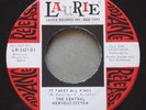 THE CENTRAL NERVOUS SYSTEM It Takes All Kinds LAURIE3421 Promo Garage 1968 45rpm