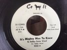 BOBBY GUITAR WOOD - IT'S MIGHTY NICE TO KNOW - DJ COPY