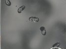 Peter Gabriel, Up Promo 200g (New Profile) 2LP from the Michael Hobson Archives